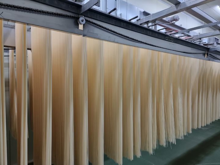 [진천=뉴시스] 구예지 기자=25일 방문한 충청북도 진천군에 위치한 면사랑 공장에서 면 반죽이 건조되고 있다. *재판매 및 DB 금지