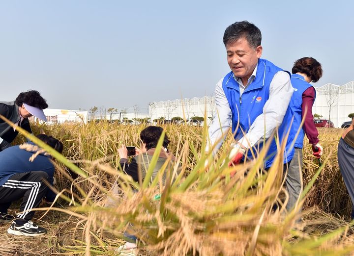 김제스마트팜 혁신밸리 가을걷이 한마당행사 마무리