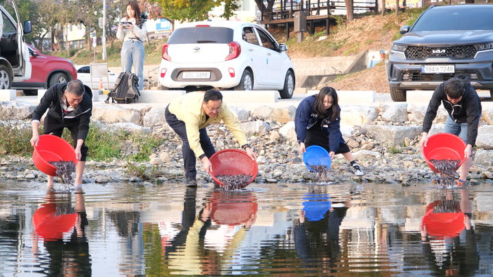 [영동=뉴시스] 안성수 기자 = 26일 충북 영동군청 직원들이 영동천에서 토종어류인 대농갱이를 방류하고 있다. (사진=영동군 제공) 2023.10.27. photo@newsis.com *재판매 및 DB 금지