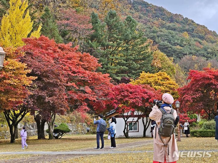 [제천=뉴시스] 제천시 봉양읍 배론성지