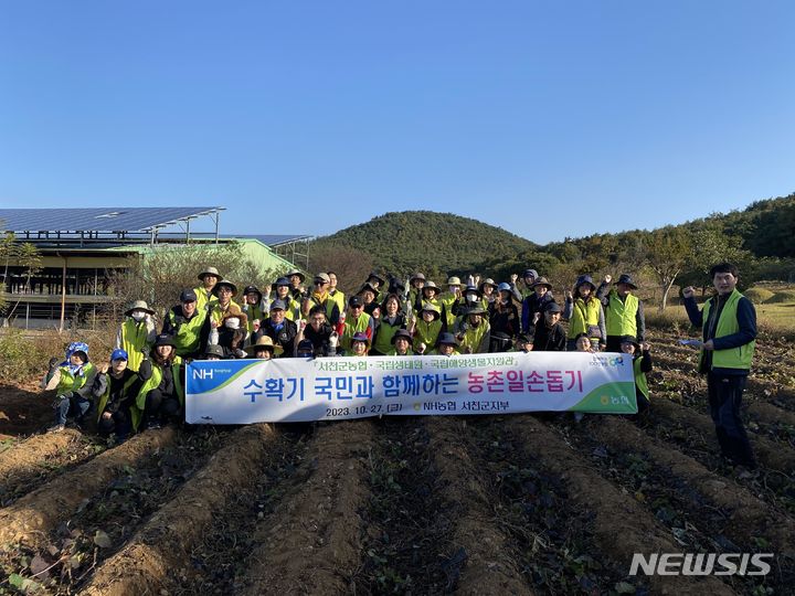 [서울=뉴시스] 고구마 수확 봉사활동 모습. 