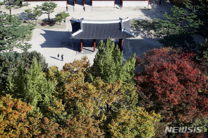 [서울=뉴시스] 김진아 기자 = 본격적인 단풍철을 맞은 29일 서울 중구 덕수궁 일대에 단풍이 물들어 있다. 2023.10.29. bluesoda@newsis.com