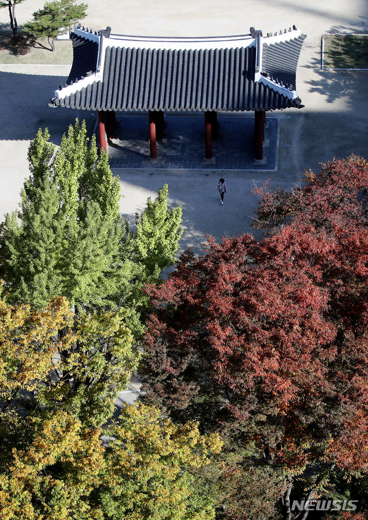 [서울=뉴시스] 김진아 기자 = 본격적인 단풍철을 맞은 29일 서울 중구 덕수궁 일대에 단풍이 물들어 있다. 2023.10.29. bluesoda@newsis.com