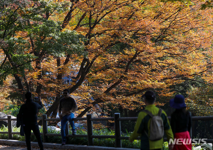 [서울=뉴시스] 김선웅 기자 =서울 남산공원에서 단풍이 물들어가는 모습. 2023.10.29. mangusta@newsis.com