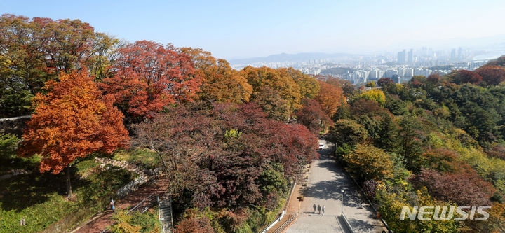 [서울=뉴시스] 김선웅 기자 = 10월의 마지막 주말인 29일 서울 남산공원에서 단풍이 물들어가고 있다. 2023.10.29. mangusta@newsis.com