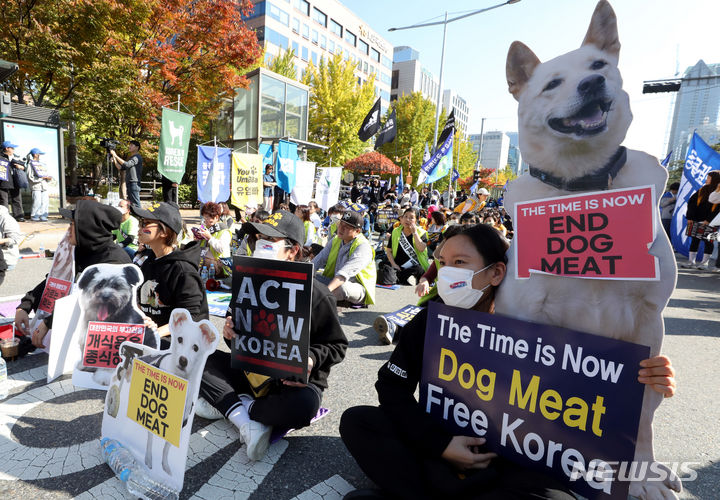 [서울=뉴시스] 조성봉 기자 = 29일 오후 서울 여의도 국회 앞에서 열린 '개 식용 금지법 제정 촉구' 집회에서 참가자들이 구호를 외치고 있다. 동물권 대국민연대는 공동선언문을 통해 “정부와 국회는 완전한 개식용종식을 위한 입법과 실행에 지금 당장 나서라”고 촉구했다. 2023.10.29. suncho21@newsis.com
