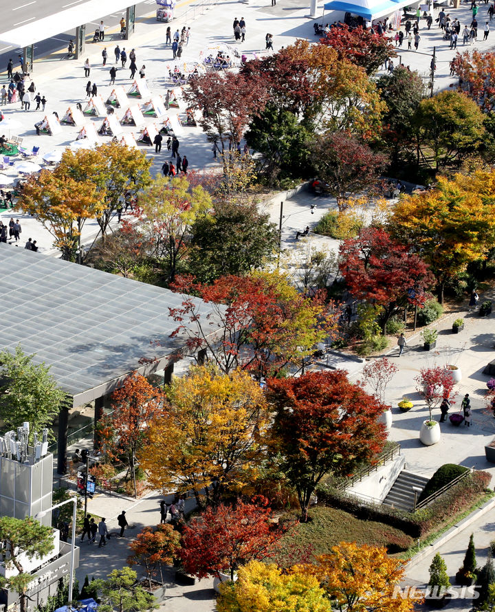 [서울=뉴시스] 김명원 기자 = 29일 서울 종로구 광화문 광장에도 알록달록하게 물든 가을이 찾아 왔다. 2023.10.29. kmx1105@newsis.com