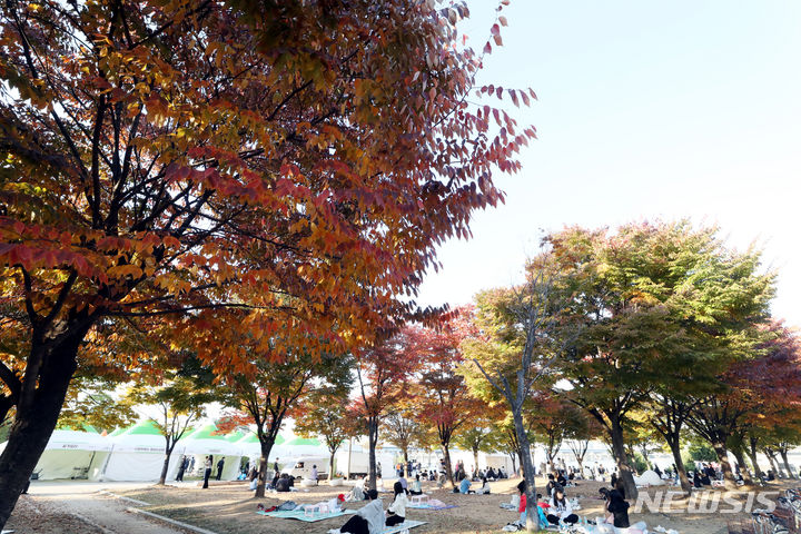 [서울=뉴시스] 조성봉 기자 = 29일 오후 서울 영등포구 여의도 한강공원 일대에서 시민들이 가을을 만끽하고 있다. 2023.10.29.suncho21@newsis.com