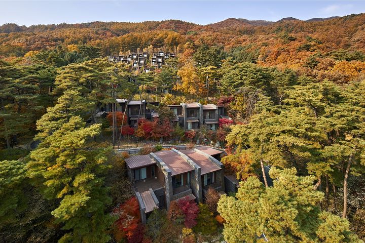 충북 제천시 '포레스트 리솜' *재판매 및 DB 금지