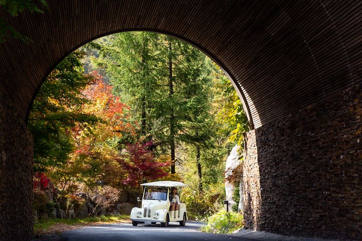 충북 제천시 '포레스트 리솜'의 '빙글빙글 카트 탐험' *재판매 및 DB 금지