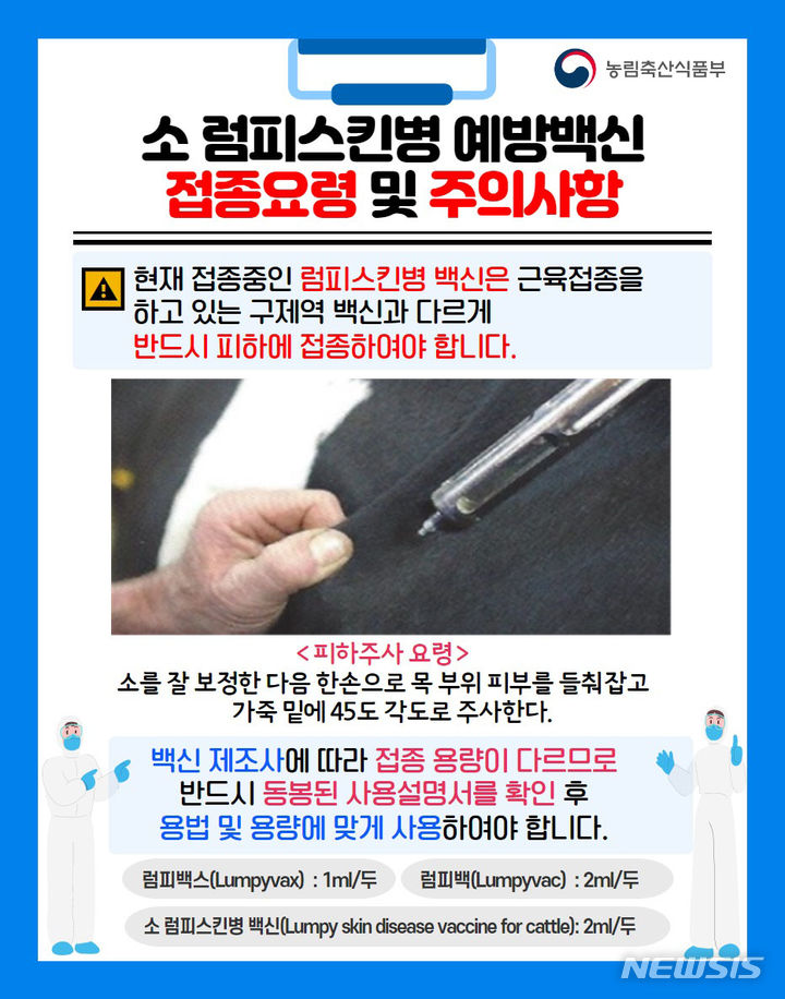 [무안=뉴시스] 소 럼피스킨병 예방백신 접종요령과 주의사항 알리는 홍보물. (그래픽=전남도 제공) 2023.10.30. photo@newsis.com *재판매 및 DB 금지