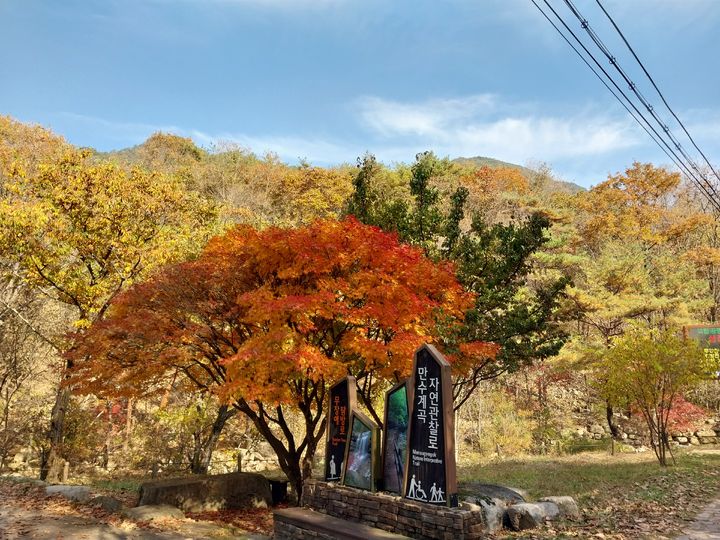 월악산 만수계곡자연관찰로 입구의 단풍 모습. (사진=월악산국립공원사무소 제공) *재판매 및 DB 금지