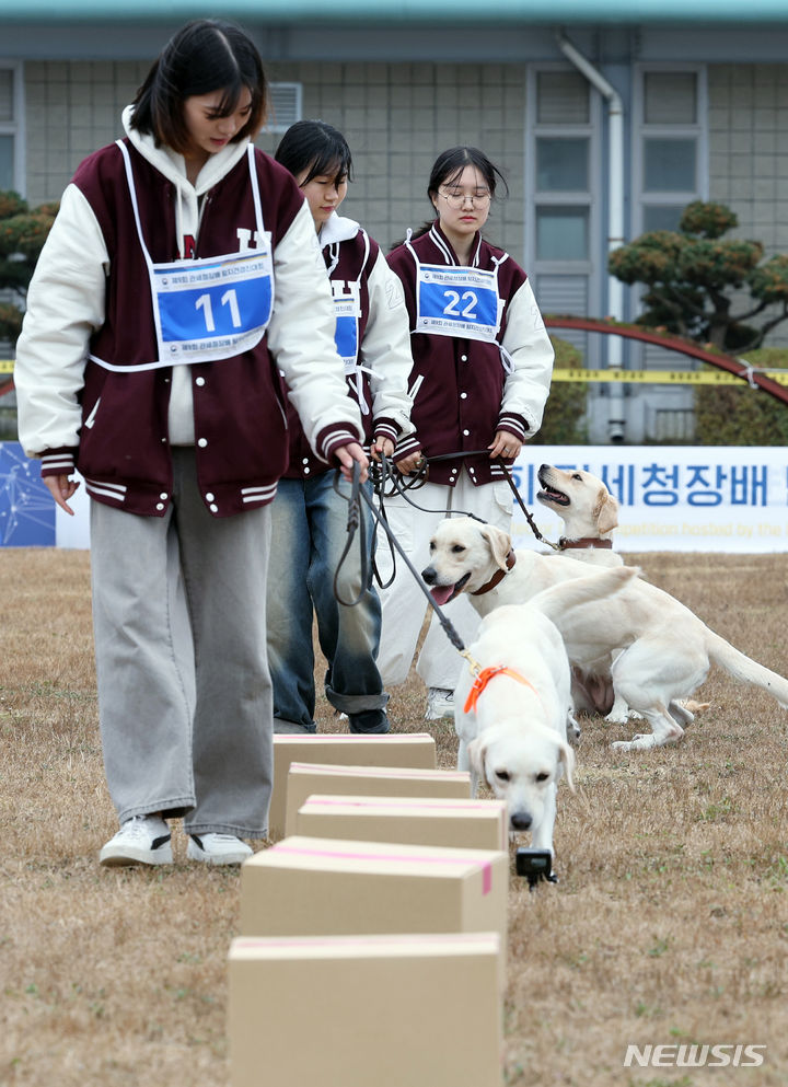 [인천=뉴시스] 공항사진기자단 = 서정대학교 반려동물과 학생들이 1일 오전 인천시 중구 영종해안북로 관세인재개발원 탐지견훈련센터에서 열린 제9회 관세청장배 탐지견 경진대회에 앞서 탐지 연습을 하고 있다. 2023.11.01. photo@newsis.com