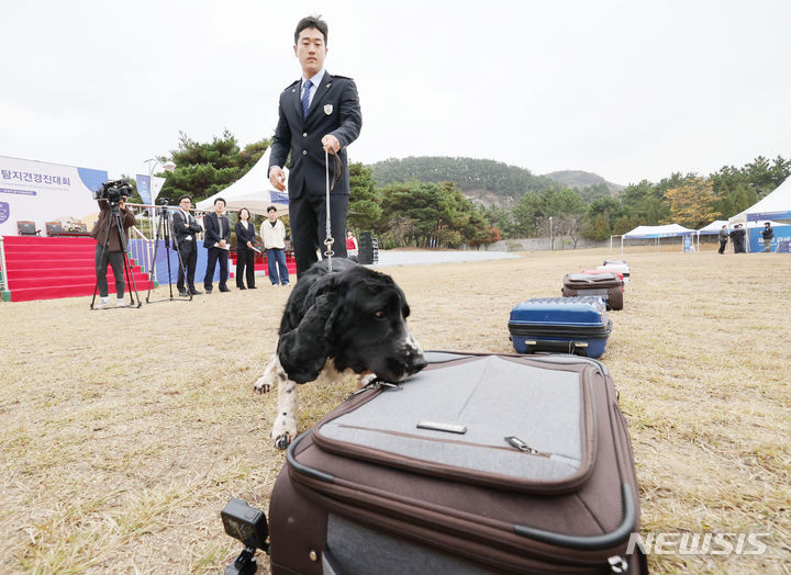 [인천=뉴시스] 공항사진기자단 = 강태욱 관세인재개발원 탐지견훈련센터 핸들러가 1일 오전 인천시 중구 영종해안북로 관세인재개발원 탐지견훈련센터에서 열린 제9회 관세청장배 탐지견 경진대회에서 마약탐지 시범을 보이고 있다. 2023.11.01. photo@newsis.com