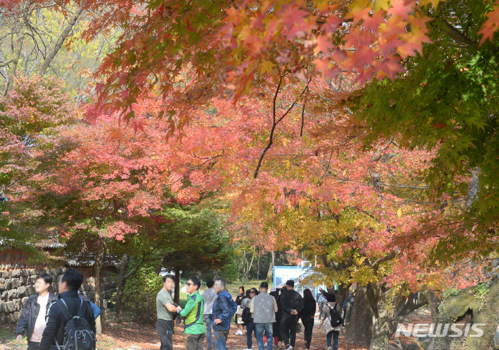 [순창=뉴시스] 김얼 기자 = ﻿﻿늦가을을 즐기려 산과 들로 떠나는 나들이객이 늘고 있다. 하지만 자칫 가을철 유행하는 발열성 질환인 신증후군 출혈열(유행성 출혈열)에 감염될 수 있어 각별히 주의해야 한다. 완연한 가을 날씨가 이어지고 있는 2일 전북 순창군 강천산군립공원이 붉게 물들어가고 있다. 2023.11.02. pmkeul@newsis.com