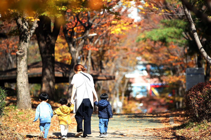 [광주=뉴시스] 변재훈 기자 = ﻿﻿하루 22분 산책으로도 건강을 챙길 수 있다는 연구 결과가 나왔다. 3일 광주 북구 일곡제1근린공원 산책로 가로수가  단풍으로 붉게 물들어 있다. 가로수 사이로 어린이집 교사와 아이들이 산책하고 있다. (사진=광주 북구 제공) 2023.11.03. photo@newsis.com *재판매 및 DB 금지