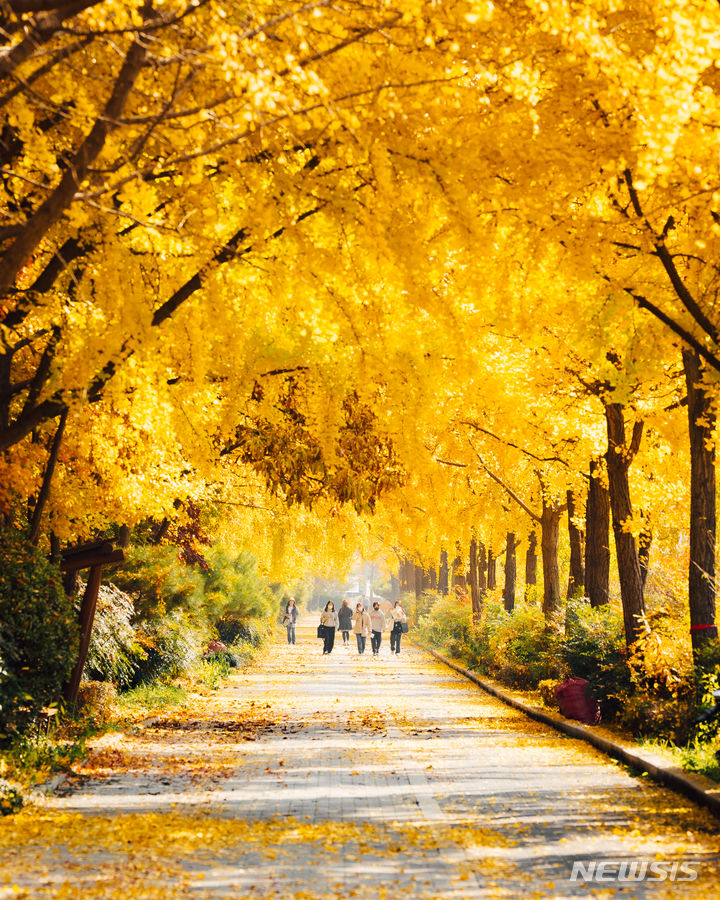 [서울=뉴시스]서울 송파구가 도심 속 가을 정취를 만끽할 풍납동 달빛산책로 등 가을 명소 4곳을 소개했다. (사진=송파구 제공). 2023.11.05. photo@newsis.com