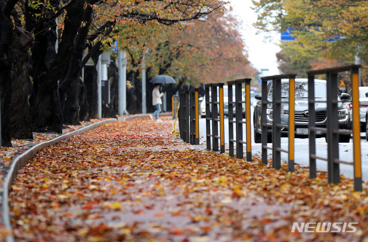 [서울=뉴시스] 고범준 기자 = 비가 내리는 5일 서울 영등포구 여의서로에 낙엽이 떨어져 있다. 2023.11.05. bjko@newsis.com