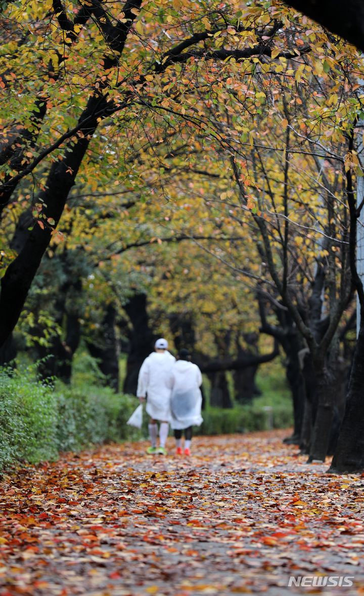 [서울=뉴시스] 고범준 기자 = 비가 내리는 5일 서울 영등포구 여의서로에 낙엽이 떨어져 있다. 2023.11.05. bjko@newsis.com