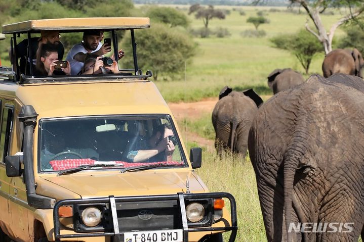 [서울=뉴시스] 탄자니아 세렝케티. (사진=하나투어 제공)