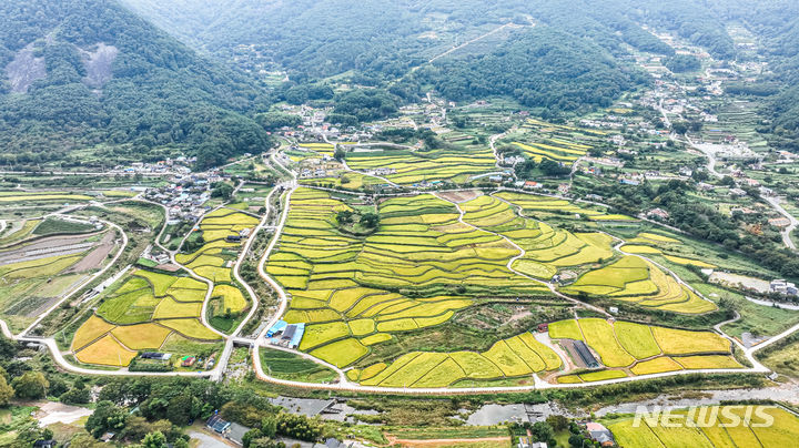 [창원=뉴시스]홍정명 기자=경남도의 2024년도 '지역특화사업' 대상지로 선정된 함안군 여항면 주서리 다랑논 전경.(사진=경남도 제공) 2023.11.06. photo@newsis.com