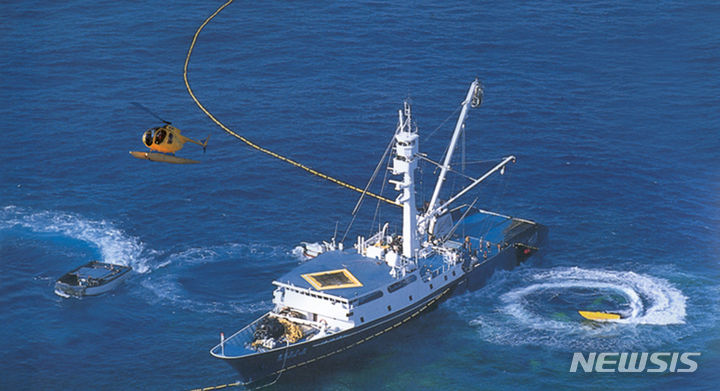 국내 한 원양 참치선망선 조업 모습. 뉴시스 자료사진.