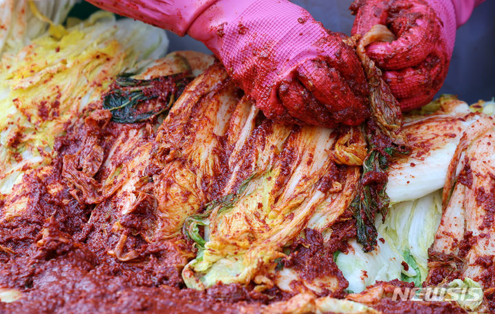 [서울=뉴시스] 김장. (사진=뉴시스 DB). photo@newsis.com