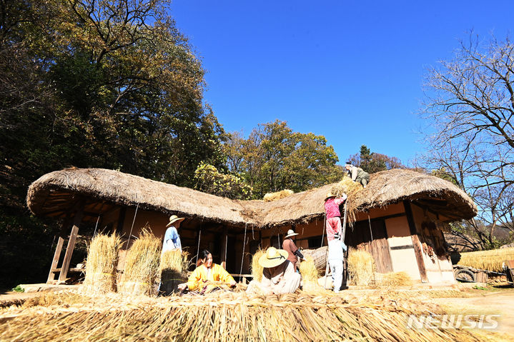 [용인=뉴시스] 김종택기자 = 절기상 입동(立冬)을 하루 앞둔 7일 경기도 용인 한국민속촌에서 관계자들이 초가지붕에 올릴 용마름과 이엉잇기 작업을 하며 겨울 준비를 하고 있다. 2023.11.07. jtk@newsis.com