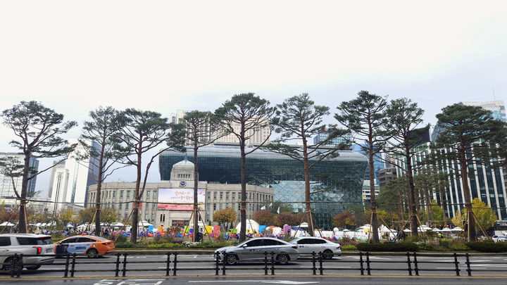 [서울=뉴시스]서울 광장숲 조성.(사진=서울시 제공) *재판매 및 DB 금지