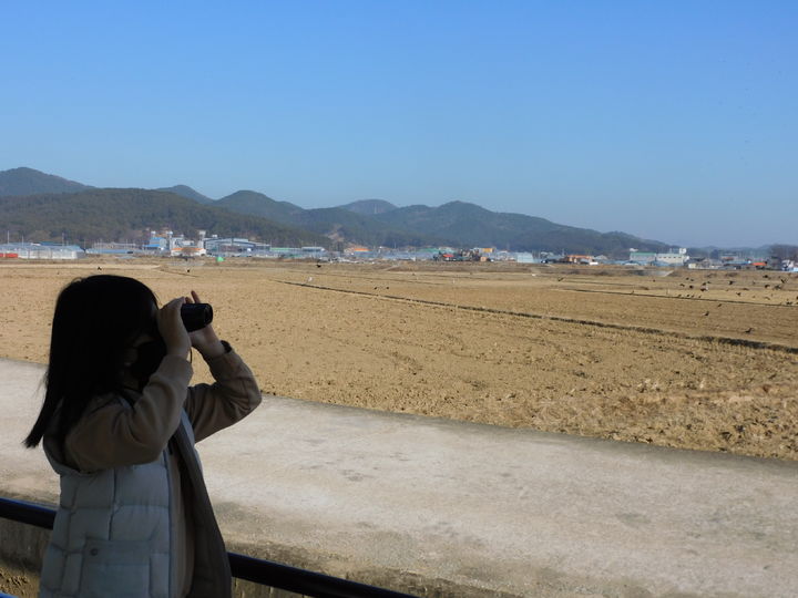 [고성(경남)=뉴시스] 신정철 기자= 경남 고성군은 오는 11일부터 올해 연말까지 고성읍 기월리 251-3번지 일원의 독수리생태체험관에서 하반기 독수리 생태관광 체험 프로그램을 운영한다.사진은 한 학생이 독수리 고성방문을 관찰하고 있다.(사진=고성군 제공).2023.11.09. photo@newsis.com *재판매 및 DB 금지