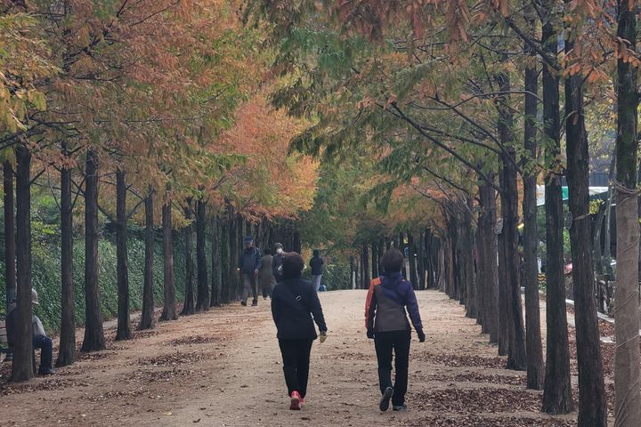 전북 낮 9~10도 맑다 구름…감기지수 높음
