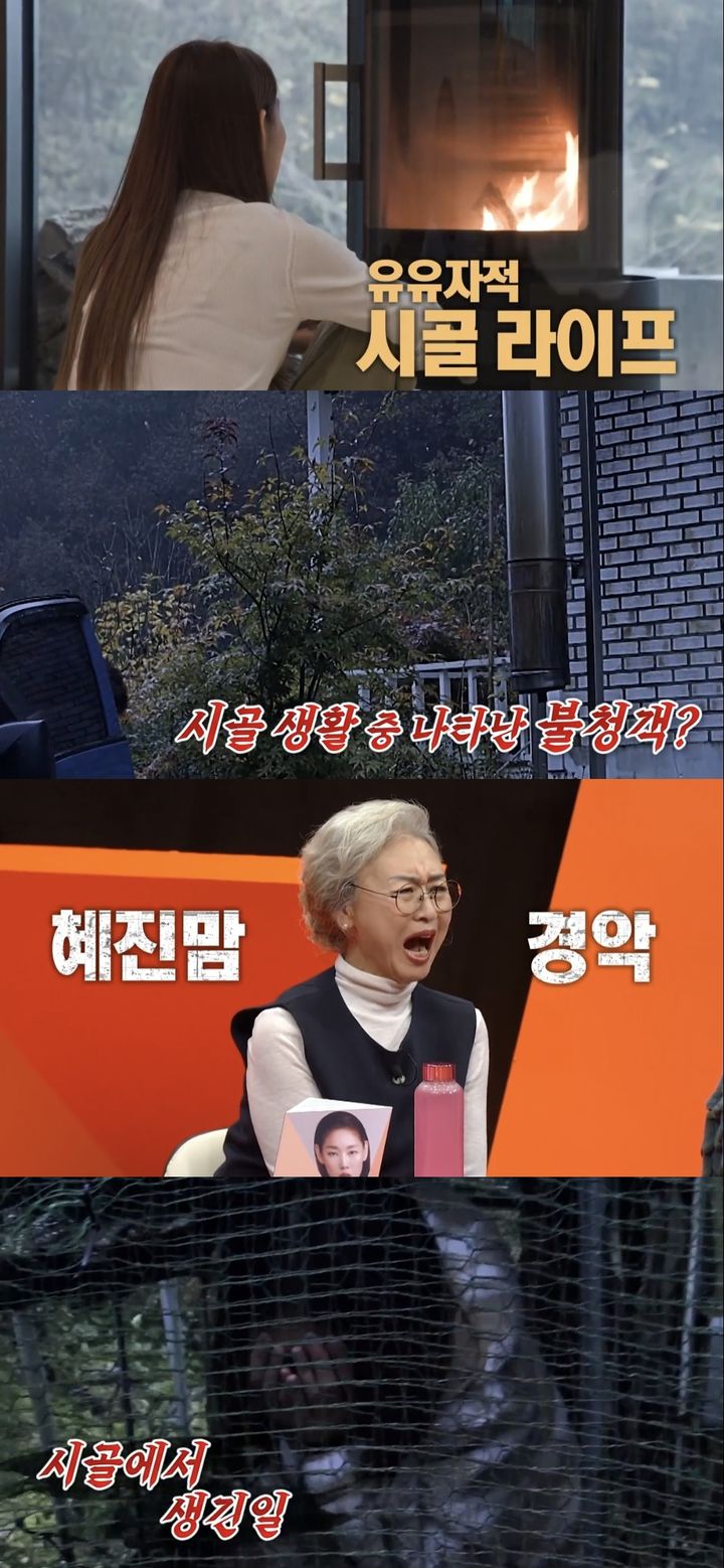 [서울=뉴시스] 12일 오후9시5분 방송되는 SBS TV 예능물 '미운 우리 새끼'에서 모델 한혜진이 시골 라이프를 공개한다. (사진=SBS TV 예능물 '미운 우리 새끼' 캡처) 2023.11.12. photo@newsis.com *재판매 및 DB 금지