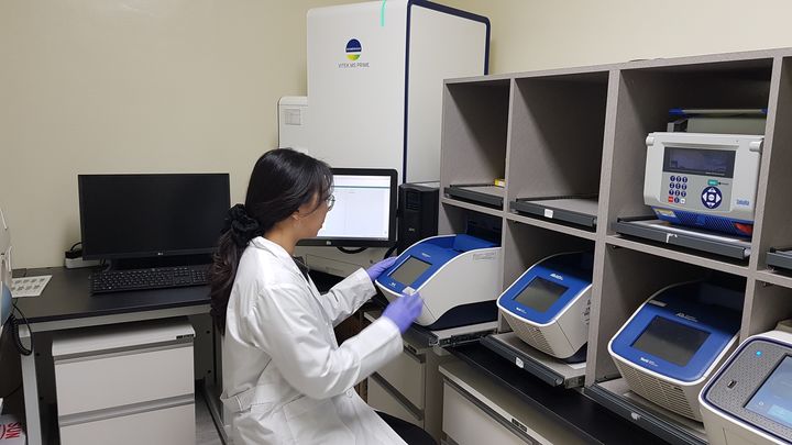 [대전=뉴시스] 지난해 11월 대전보건환경연구원에서 연구원이 노로바이러스 검사를 하고 있다. (사진= 대전보건환경연구원 제공) 2024.01.26. photo@newsis.com *재판매 및 DB 금지