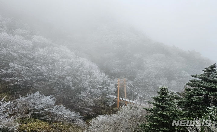 [제주=뉴시스] 우장호 기자 = 전국적으로 기온이 큰 폭으로 떨어진 12일 오전 제주 한라산에서 첫 눈(눈 날림)이 관측됐다. 이는 지난해(11월30일)보다 약 18일 가량 빠른 것이다. 기상청에 따르면 이날 윗세오름 일최저기온은 영하 3.7도를 기록했다. 사진은 상고대가 맺히고 눈이 쌓인 한라산 성판악 코스 모습. (사진=독자 김경미씨 제공) 2023.11.12. woo1223@newsis.com *재판매 및 DB 금지