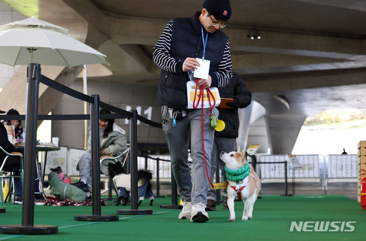 [서울=뉴시스] 홍효식 기자 = 12일 서울 중구 동대문디자인플라자에서 열린 '2023 반려인 능력시험'에서 반려인과 반려견이 실기시험을 응시하고 있다. 2023.11.12. yesphoto@newsis.com