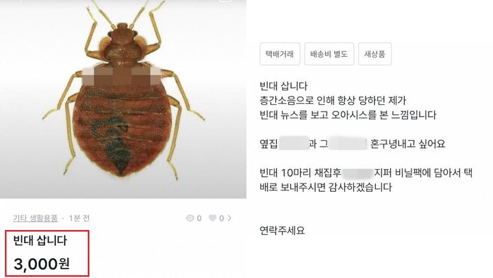 중고거래 플랫폼에 올라온 빈대 구매 희망글 (사진=온라인 커뮤니티 캡처본) *재판매 및 DB 금지