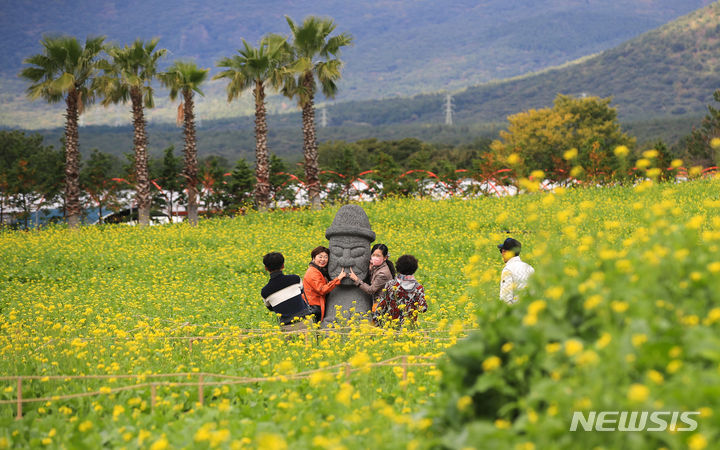 [서귀포=뉴시스] 우장호 기자 = 기습 추위가 물러나고 평년 기온을 되찾은 14일 제주 서귀포시 남원읍 휴애리 농장을 찾은 관광객들이 봄꽃인 노란 유채꽃을 감상하며 이색 정취를 만끽하고 있다. 2023.11.14. woo1223@newsis.com