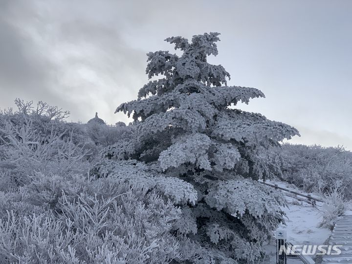 [구례=뉴시스] 김석훈 기자 = 전남 구례군 산동면 지리산국립공원 노고단 일원에 17일 적설량 1㎝ 가량의 올 겨울 첫눈이 내렸다 지리산 첫 눈은 작년보다 3일 빨리 찾아왔다. (사진=지리산국립공원전남사무소 제공) 2023.11.17. photo@newsis.com *재판매 및 DB 금지