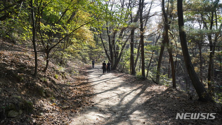 [오산=뉴시스] 오산시 오색둘레길 4코스 독산숲길 (사진 = 오산시 제공)