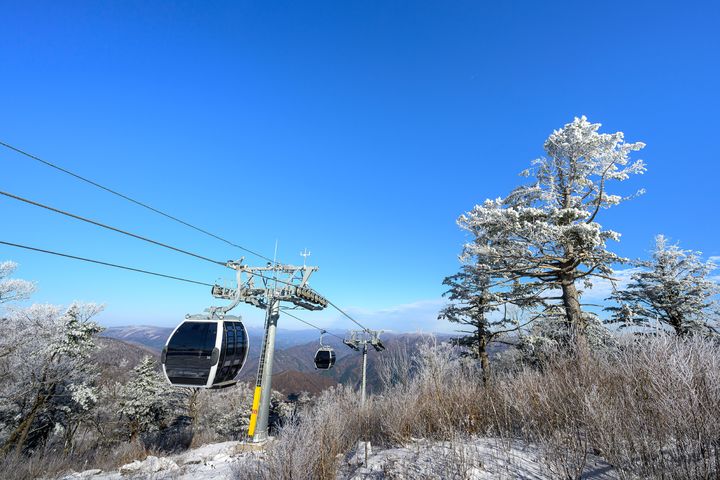 정선군, 가리왕산 케이블카 설경. *재판매 및 DB 금지