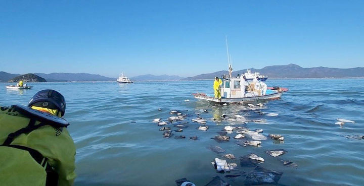 완도=뉴시스] 변재훈 기자 = 20일 오전 3시 54분께 전남 완도군 어룡도 인근 바다에서 5000t급 모래운반선 A호가 섬과 충돌, 침수됐다. A호에서는 승선원 13명 전원이 해경에 의해 구조됐으나, 주변 바다에서 기름 유출 방제 작업이 펼쳐졌다. (사진=완도해경 제공) 2023.11.20. photo@newsis.com *재판매 및 DB 금지