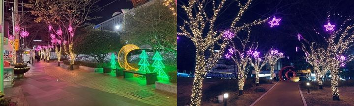 [대구=뉴시스] 대구 서구청 가로변(왼쪽)과 그린웨이 암석원에 설치된 야간 경관조명 모습. (사진=대구시 서구 제공) 2023.11.22. photo@newsis.com *재판매 및 DB 금지