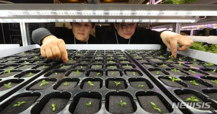 [서울=뉴시스] 최진석 기자 = 22일 서울 강남구 삼성동 코엑스에서 열린 '월드 푸드테크 엑스포'에서 스마트팜 업체 관계자들이 스마트팜 관리 시연하고 있다. 2023.11.22. myjs@newsis.com