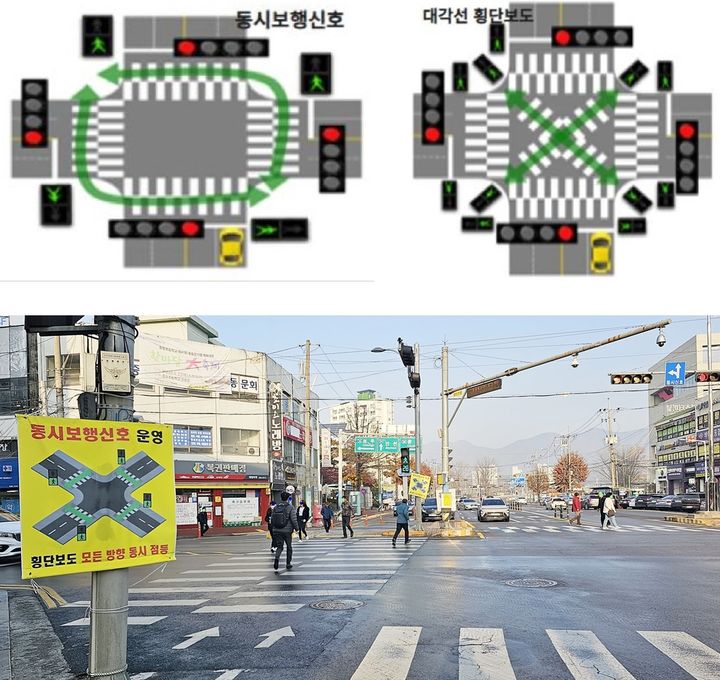 [증평=뉴시스] 강신욱 기자 = 충북 증평군은 이달 말까지 군청 인근 교동사거리를 대상으로 한 동시보행신호를 운영한 뒤 다음 달부터 내년 2월 말까지 대각선 횡단보도를 운영한다. 23일 교동사거리에서 동시보행신호 시간 보행자들이 횡단보도를 건너고 있다. (사진=증평군 제공) 2023.11.23. photo@newsis.com *재판매 및 DB 금지