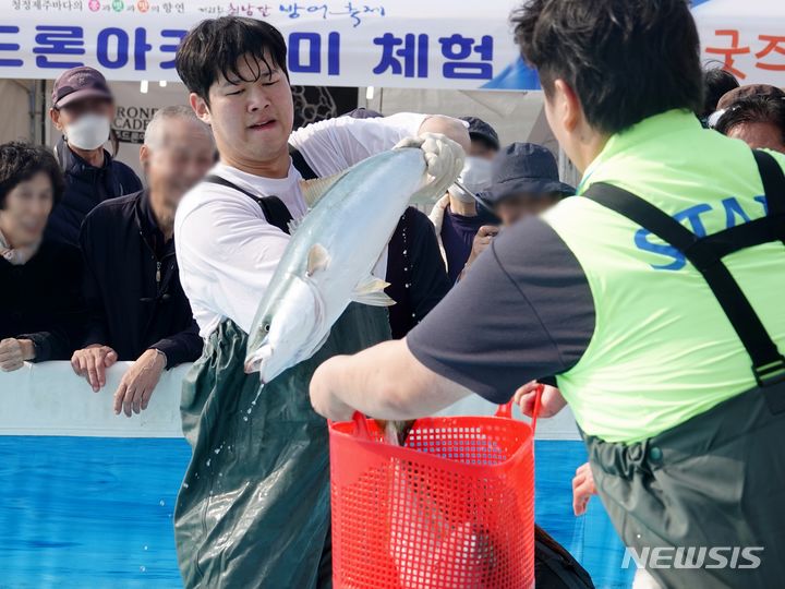 [제주=뉴시스] 지난해 11월23일 제주 서귀포시 모슬포항 일대 제23회 최남단 방어축제장에서 방어 맨손 잡기 체험에 참여한 시민이 잡은 방어를 바구니에 넣고 있다. 2023.11.23. oyj4343@newsis.com