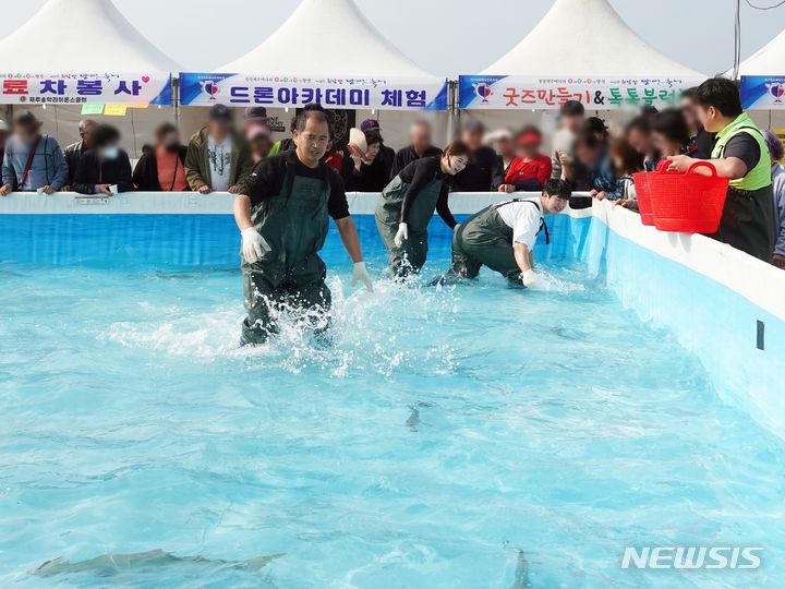 [제주=뉴시스] 오영재 기자 = 23일 오전 제주 서귀포시 모슬포항 일원에서 열린 제23회 최남단 방어축제에서 방어 맨손 잡기 체험에 참여한 방문객들이 방어를 잡고 있다. 2023.11.23. oyj4343@newsis.com