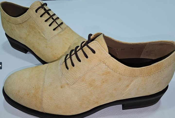 [세종=뉴시스] 버섯 가죽 구두(사진=농촌진흥청) *재판매 및 DB 금지