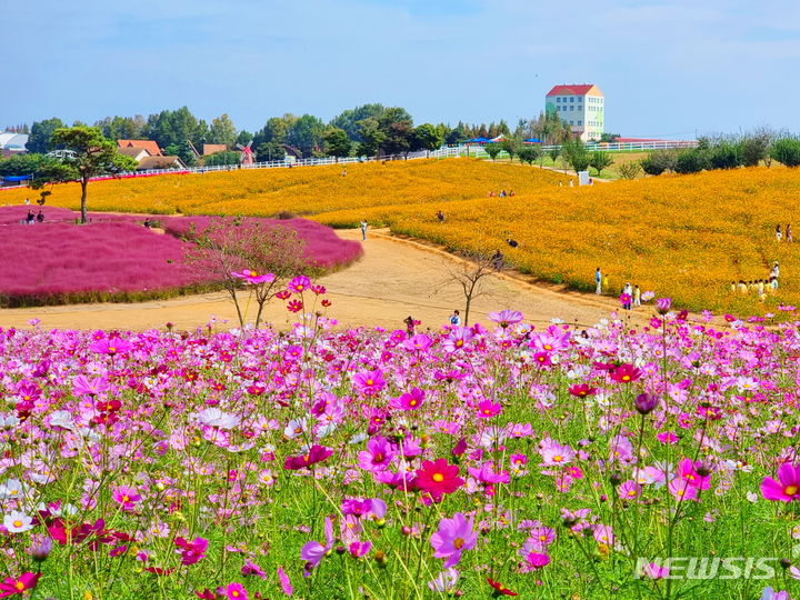 [안성=뉴시스] 동상 - 천은희(안성팜랜드와 꽃) (사진 = 안성시 제공)