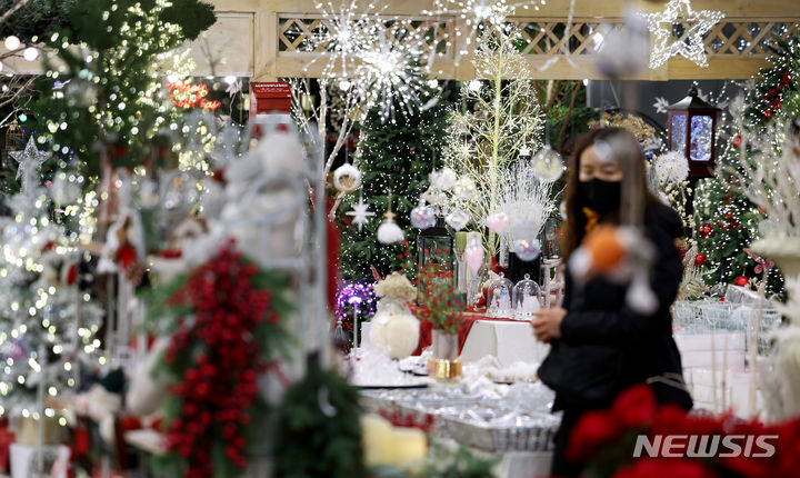 [대구=뉴시스] 이무열 기자 = 크리스마스를 앞둔 지난달 27일 대구 북구 칠성동 꽃 백화점을 찾은 한 시민이 다양한 크리스마스트리와 소품을 살펴보고 있다. 2023.11.27. lmy@newsis.com