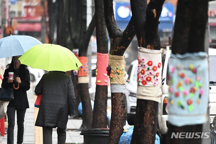 [수원=뉴시스] 김종택 기자 = 수요일인 오는 6일은 포근한 날씨가 이어지는 가운데 전국이 대체로 흐리고 중부지방 등 곳곳에 약한 비가 내리겠다. 사진은 겨울을 재촉하는 비가 내린 지난달 27일 경기도 수원시 영통구 망포역 인근 거리에서 우산을 쓴 시민들이 뜨개옷을 입은 가로수길을 걷는 모습. 2023.11.27. jtk@newsis.com